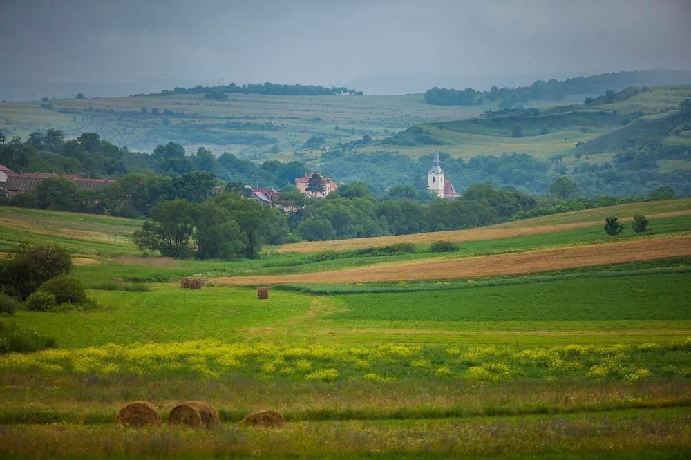 Dealuri verzi și un sat săsesc cu biserica în mijloc, în Transilvania